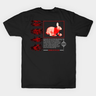 Gong XI Fa Cai T-Shirt